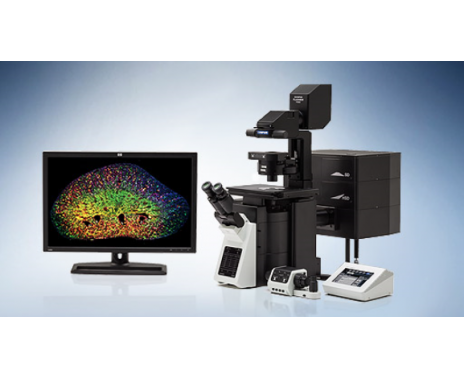 奥林巴斯FV3000 激光扫描共聚焦显微镜