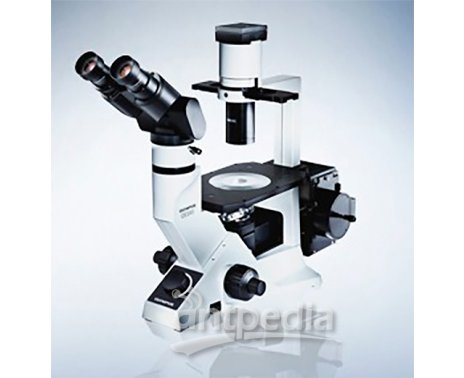 奥林巴斯CKX41日常工作用紧凑型倒置显微镜
