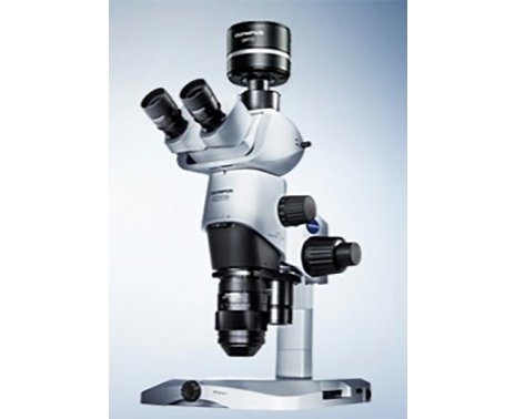 奥林巴斯SZX16研究级体视显微镜（生命科学）