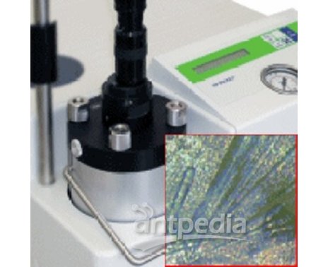 DSC1+/ HP DSC1+ 显微镜