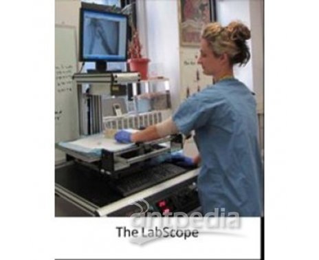 小鼠活体成像系统-LabScope