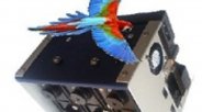 Tetracam Macaw