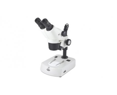 立体显微镜