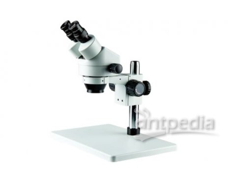 生物医药体视显微镜