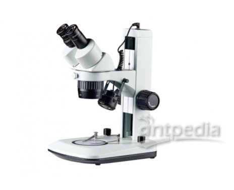 检查体视显微镜
