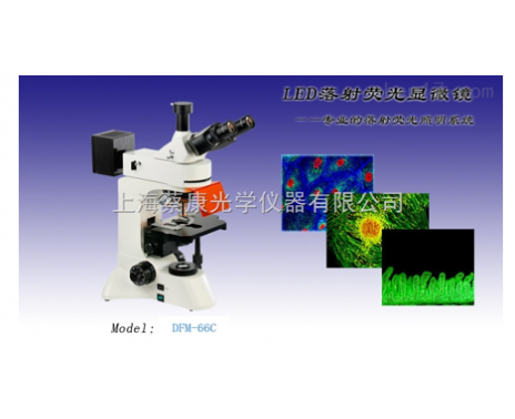 XTL-6600C蔡康平行光体视显微镜