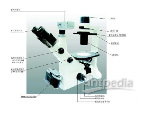 XD-202倒置生物显微镜