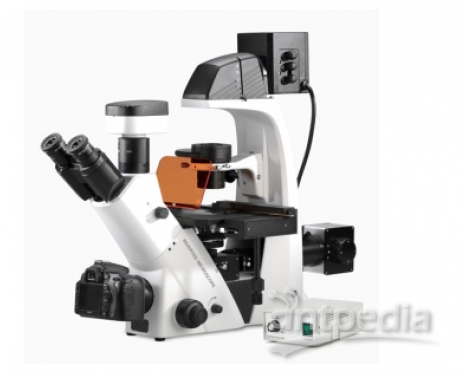 重庆奥特 倒置荧光显微镜 BDS500-FL