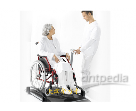 电子轮椅秤/座椅轮椅体重仪/北京台秤