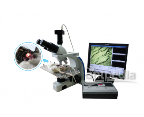 泰盟 医学图像分析系统BI-2000