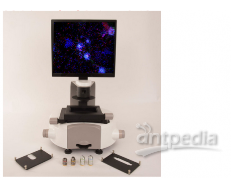 法国bertin InCellis智能细胞显微成像系统