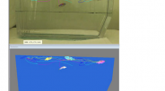 CleverSys Inc AquaScan斑马鱼行为分析系统