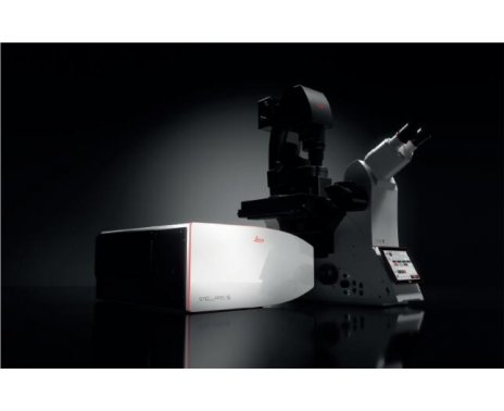 德国徕卡 共聚焦显微镜 STELLARIS 5