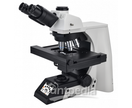 NE950科研级全电动正置生物显微镜