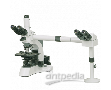N-204 多人观察显微镜