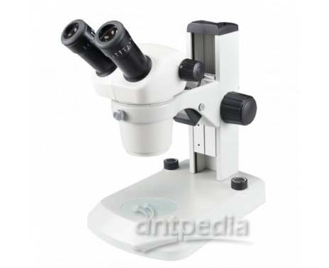 NS80系列变档体视显微镜