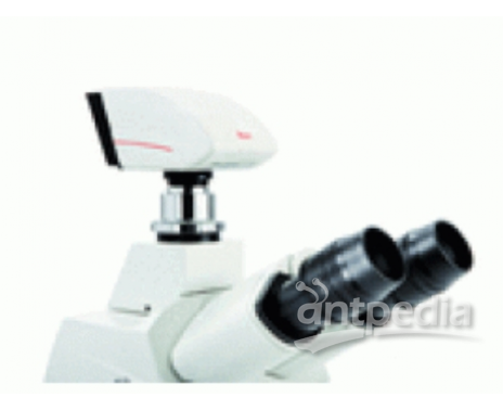 高速数码摄象机为荧光应用 Leica DFC345 FX