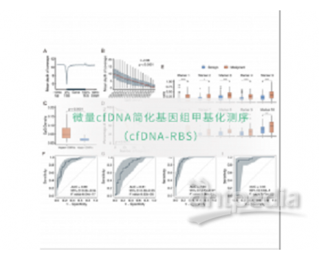 微量cfDNA简化基因组甲基化测序（cfDNA-RBS）