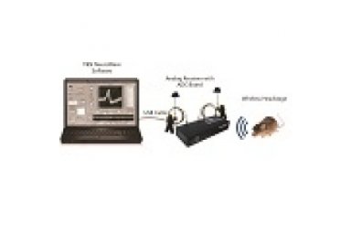 TBSI 	  W-series， M-Series， T-Series