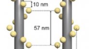 GATTA 电镜纳米螺旋标尺