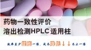 艾杰尔-飞诺美 药物一致性评价 溶出检测HPLC适用柱