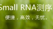 诺禾致源 一站式解决sRNA调控研究