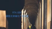 洛克泰克  RTK-SBH（Sodium BorohydrideHydrogen）
